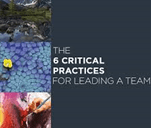 The 6 Critical Practices for Leading a Team